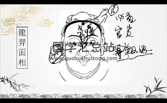 龙羿面相弟子内训60集视频约25小时-封面手相面相