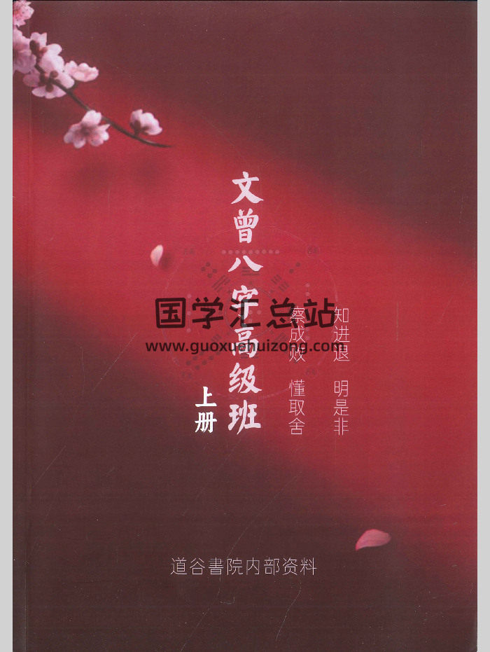 《文曾八字高级班》上下册PDF电子书-封面四柱八字