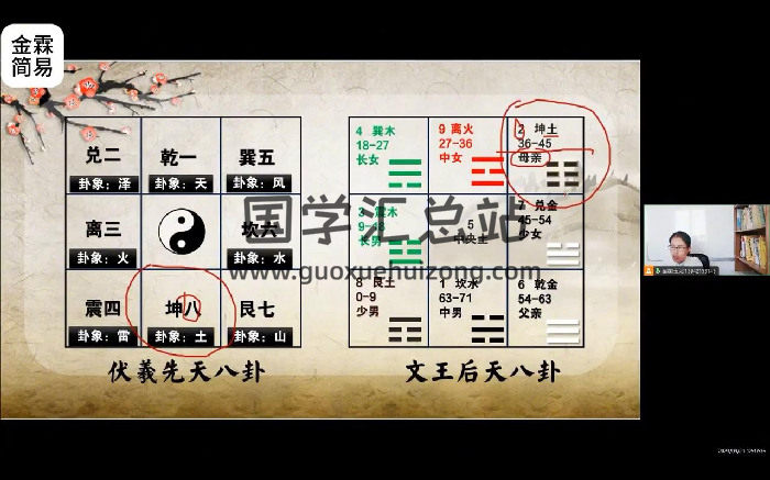 金霖老师《梅花易数》教学视频34集-封面梅花易数