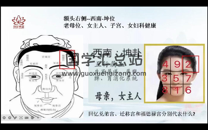 辰南老师《麻衣相术》教学视频20集约9小时-封面手相面相