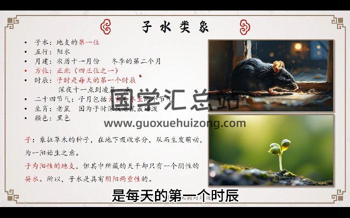 龙诗雅《八字命理初级班》63集视频约21小时-封面四柱八字