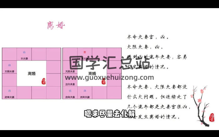 洛元《紫微斗数感情专题课》视频5集约2小时-封面紫微斗数