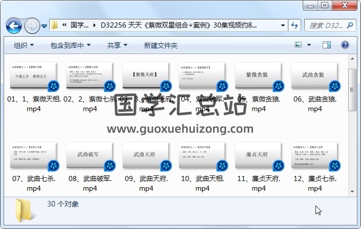 天天《紫微双星组合+案例》30集视频约8小时 紫微斗数 第1张