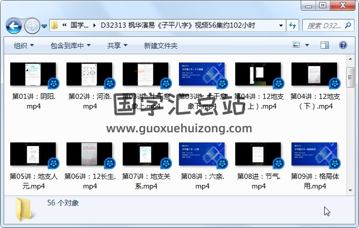枫华演易《子平八字》视频56集约102小时 四柱八字 第1张