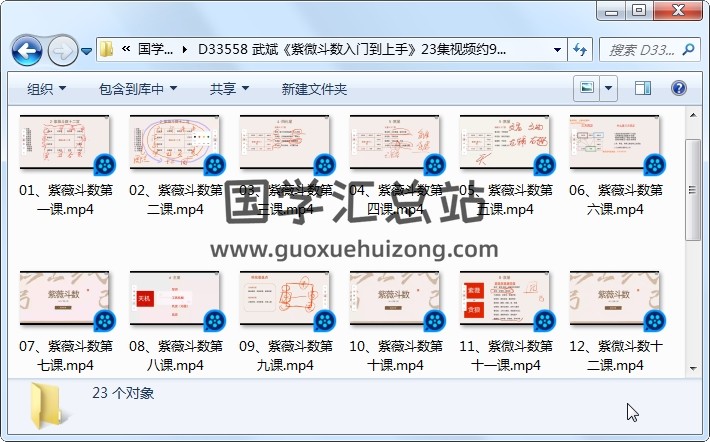 武斌《紫微斗数入门到上手》23集视频约9小时 紫微斗数 第1张