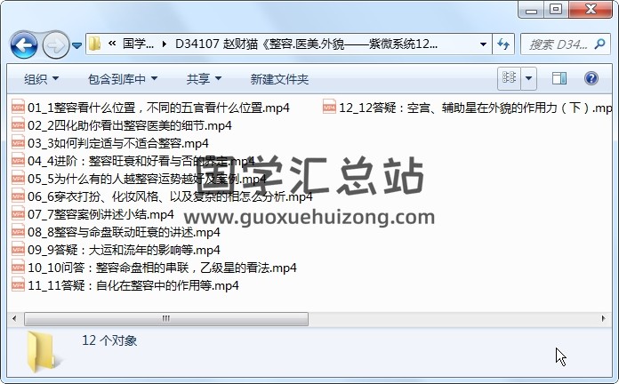 赵财猫《整容.医美.外貌——紫微系统12讲》 紫微斗数 第1张