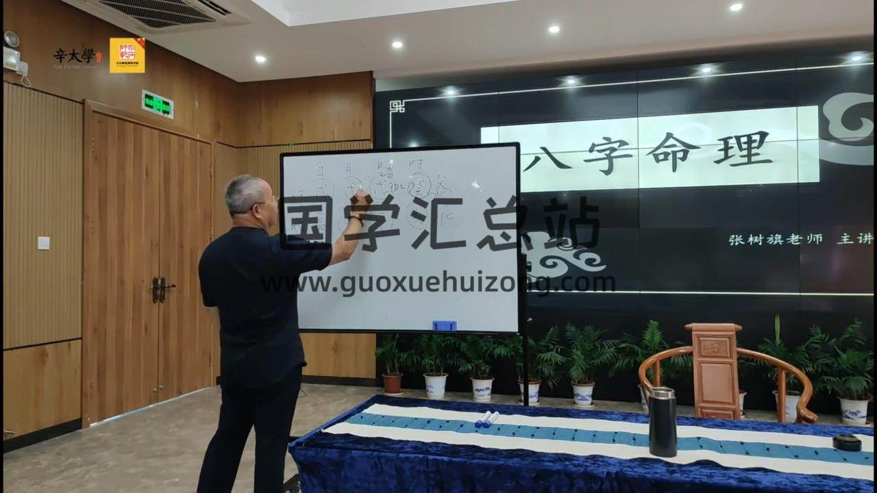 张树旗 八字命理10集视频 四柱八字 第2张