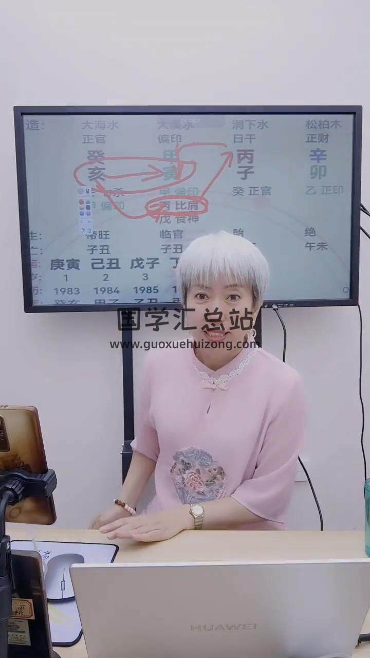 周宸琋《瞬间开窍系列用理法、技法，看地支》10集视频约15小时 四柱八字 第2张