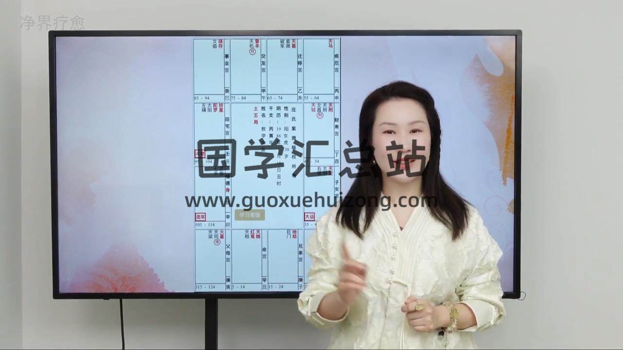 精灵媛叶媛《紫微斗数人生战略》视频39集 紫微斗数 第2张