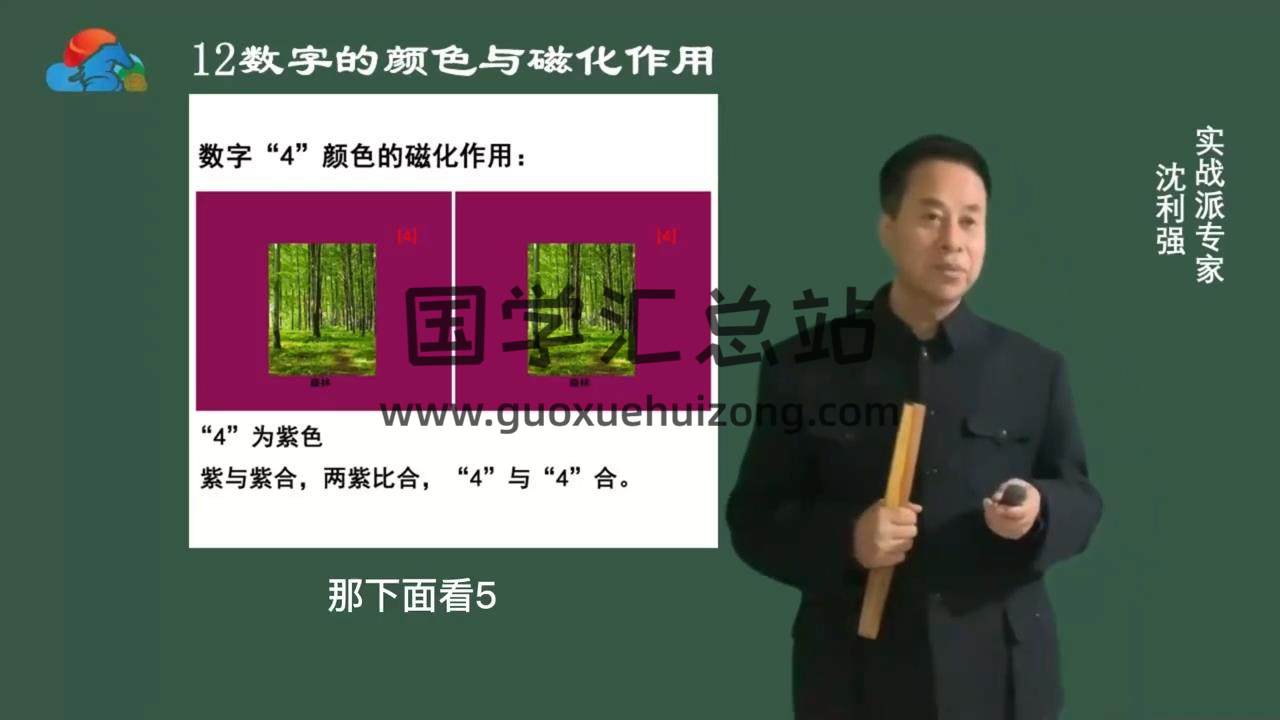 沈利强《三易神数》35集视频 术数其他 第2张