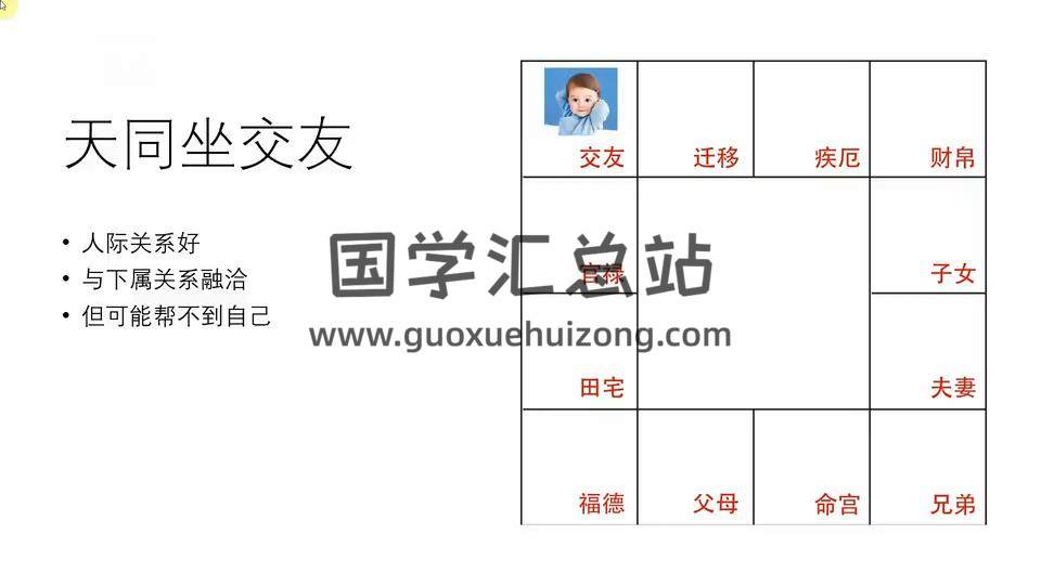 爱丽娅《紫微斗数初级班》24集视频约5.5小时 紫微斗数 第2张