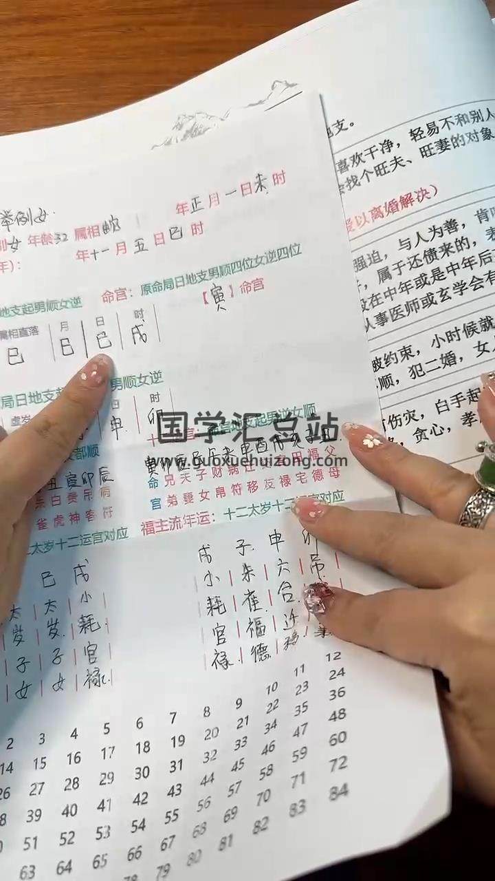 孙真坤《一掌经》39集视频约4小时 手相面相 第2张