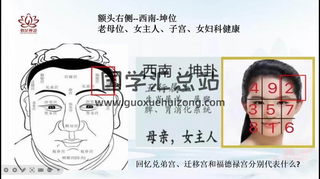 辰南老师《麻衣相术》教学视频20集约9小时 手相面相 第2张