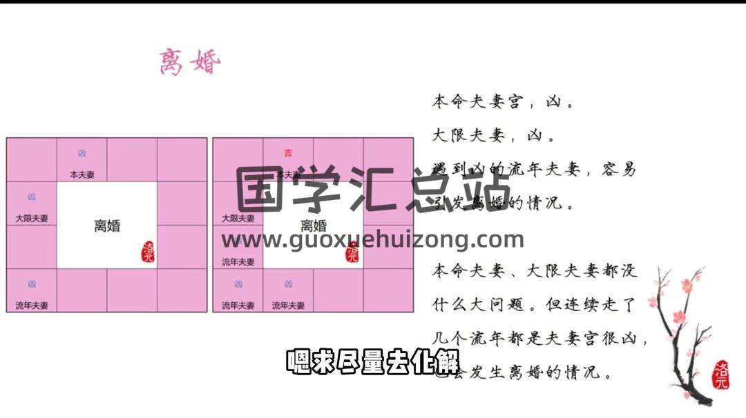 洛元《紫微斗数感情专题课》视频5集约2小时 紫微斗数 第2张