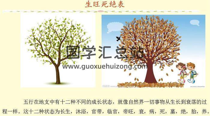 张伟光《六爻精品讲座》视频180集百度网盘分享（缺第167集）-封面六爻