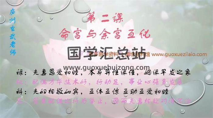 庐州玄武老师《初级、中级、终身班紫微斗数教程》94集视频课程百度网盘分享-封面易学