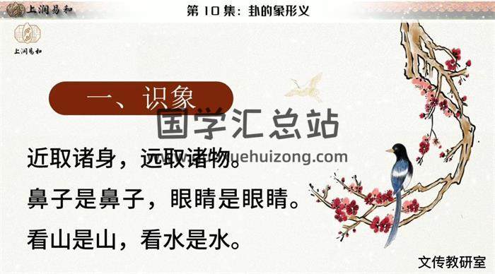 徐丙昕《梅花易数初级课程》26集视频百度网盘分享-封面易学