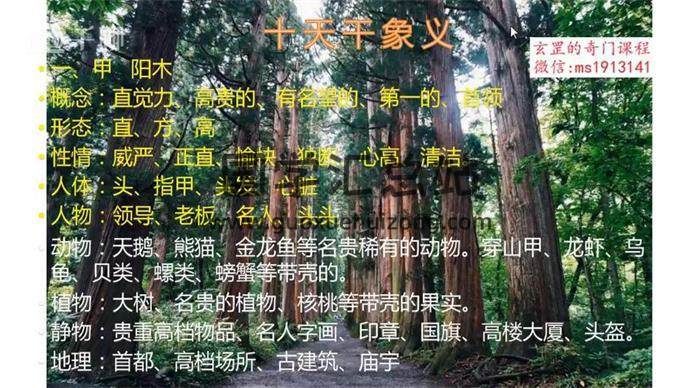 玄罡《阴盘奇门遁甲》32集视频课程百度网盘分享-封面奇门遁甲