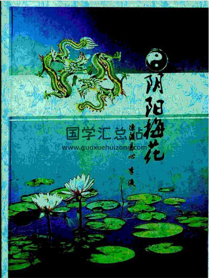 净度易心 李液著《阴阳梅花》141页PDF电子书百度网盘分享-封面易学