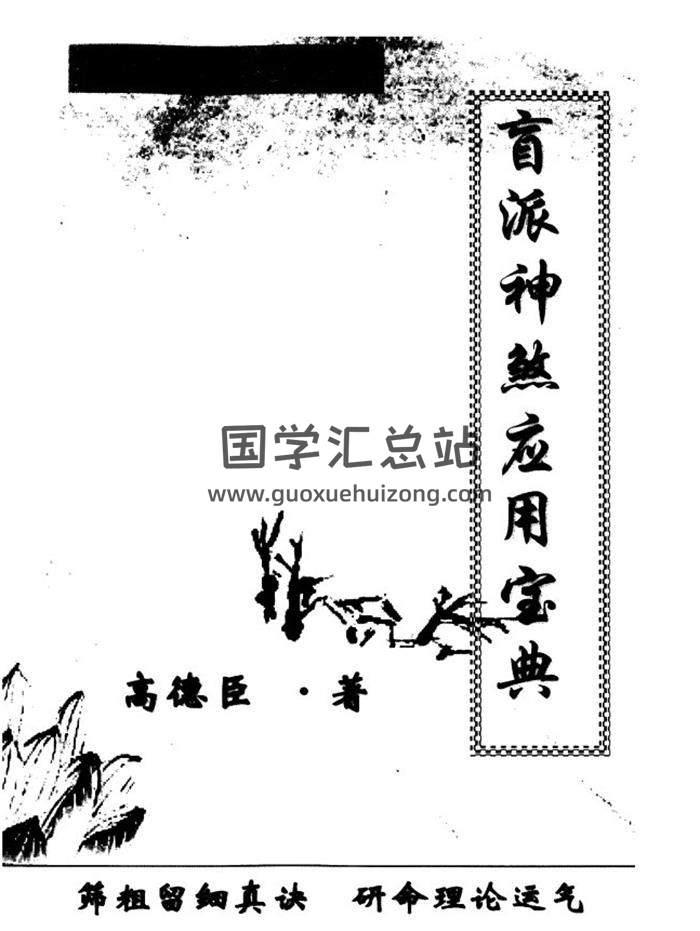 高德臣《盲派神煞应用宝典（高清版）》240页PDF电子书百度网盘分享-封面命理学