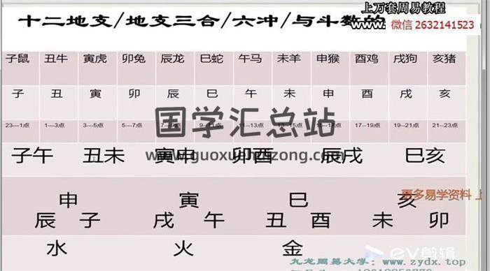 九龙道长弟子班-王员外《紫薇斗数》30集视频课程 百度网盘分享-封面易学