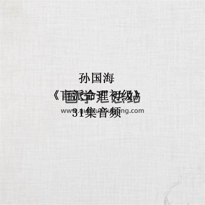 孫國海《盲派命理初級》31集音頻 百度網盤分享-封面命理學