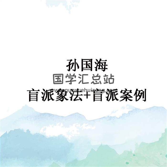 孙国海盲派象法+盲派案例 百度网盘分享-封面命理学