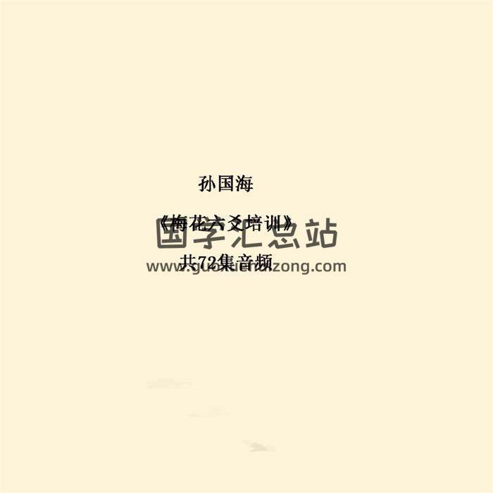孙国海《梅花六爻培训》共72集音频 百度网盘分享-封面六爻