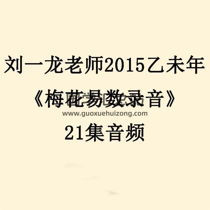 刘一龙 刘老师2015乙未年《梅花易数录音》21集音频 百度网盘分享-封面易学