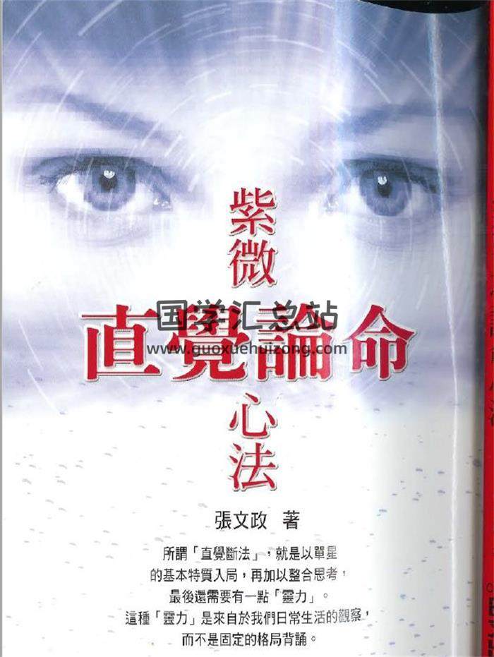 张文政《紫微密码神算》《紫微直觉论命心法》2本紫微斗数书籍 百度网盘分享-封面易学