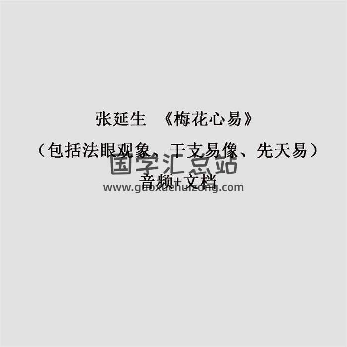 张延生《梅花心易》（包括法眼观象、干支易像、先天易）音频+文档  百度网盘分享-封面易学
