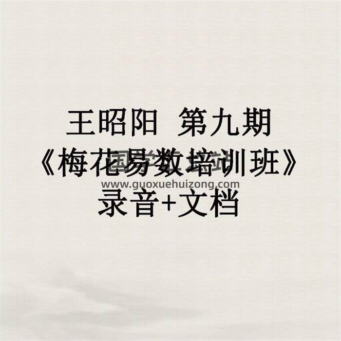 王昭阳第九期《梅花易数培训班》28集录音+文档 百度网盘分享-封面易学