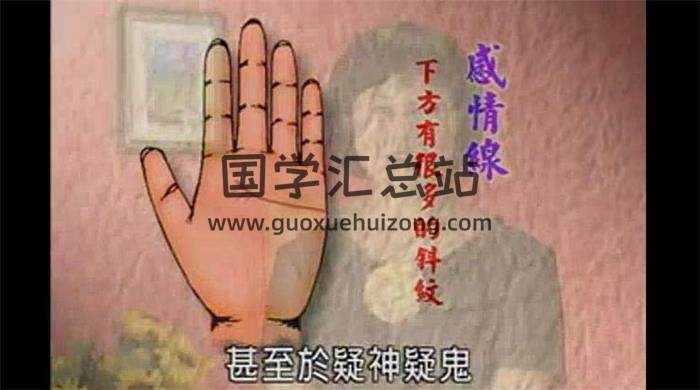 雨扬居士《手相世界》11集视频课程 百度网盘分享-封面易学