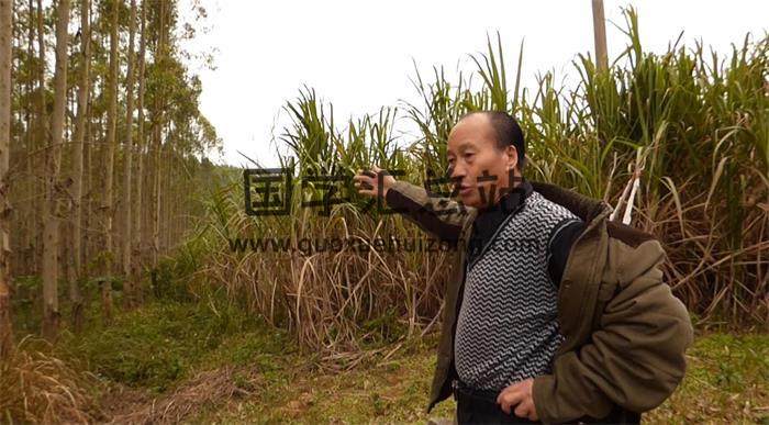 韦昭尤说风水《寻龙点穴》高清现场教学全套视频13集 百度网盘分享-封面易学
