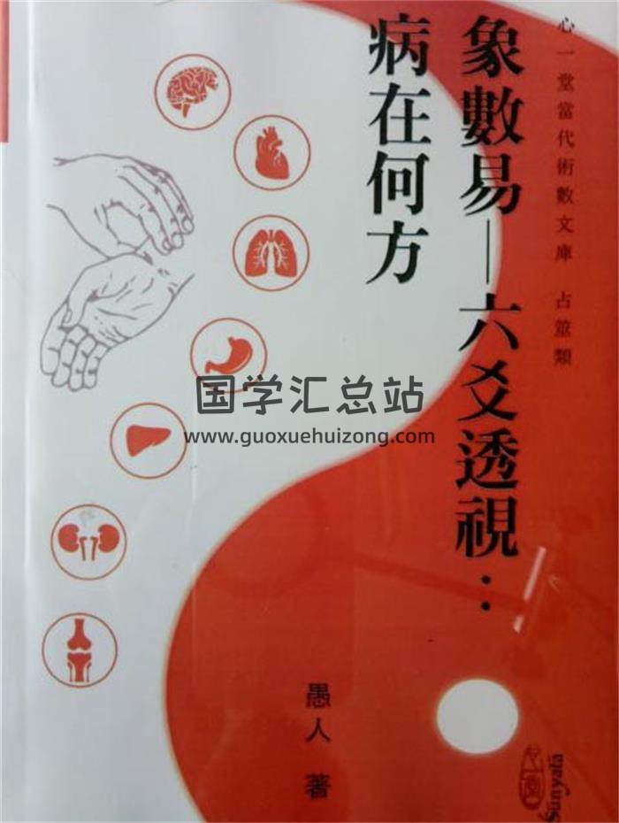 愚人著《象数易——六爻透视：病在何处》288页PDF电子书-封面六爻