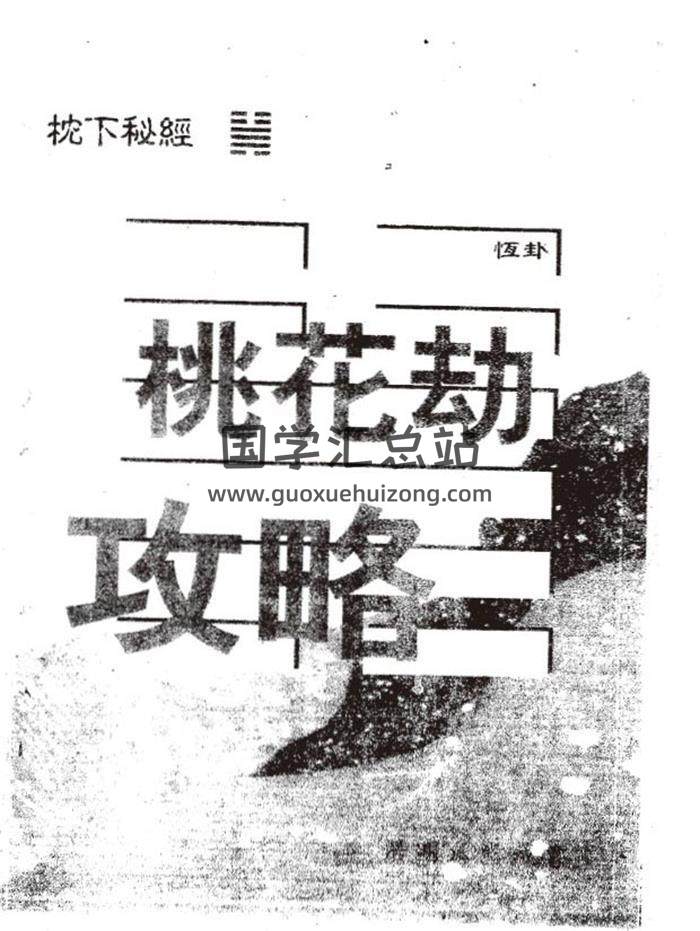 《桃花运与桃花劫》102页（双页版）PDF电子书-封面易学