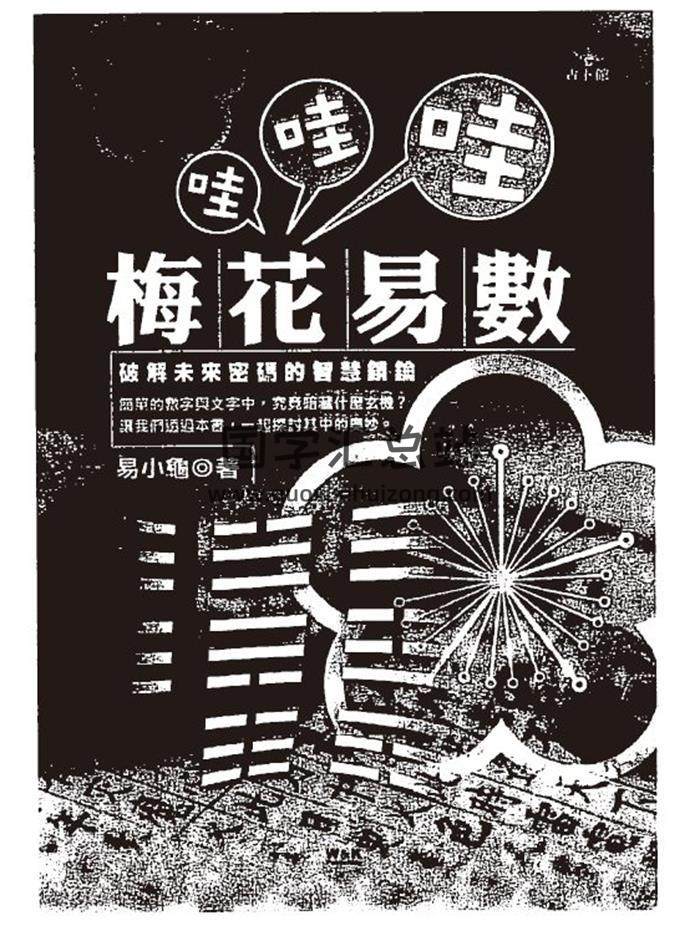 诸葛鸿.易小龟《梅花易数哇哇哇》119页(双页版)PDF电子书-封面易学