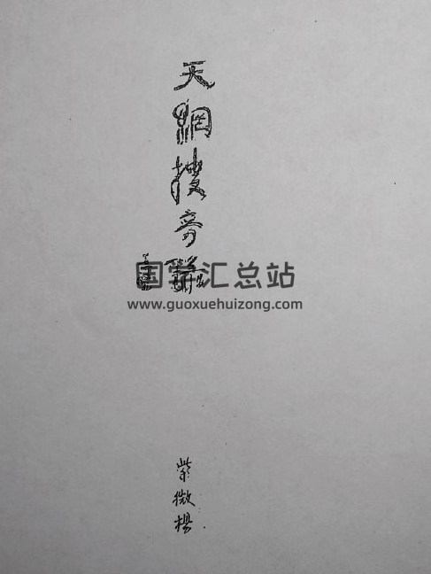 紫微杨《天网搜索录》116页(双页版)PDF电子书-封面易学