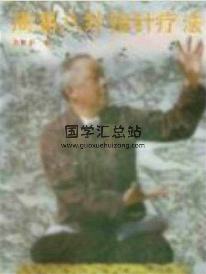 解佩启《周易八卦指针疗法》241页PDF电子书-封面易学