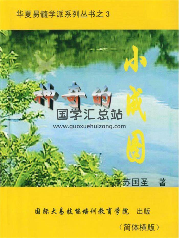 蘇國聖《神奇的小成圖》96頁(雙頁版)PDF電子書-封面占卜預測
