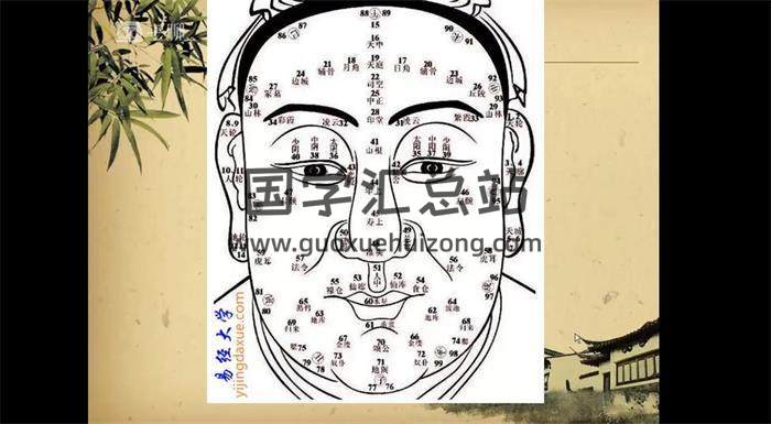 梁炜彬《公笃相法弟子班》29集相学视频 百度网盘分享-封面易学