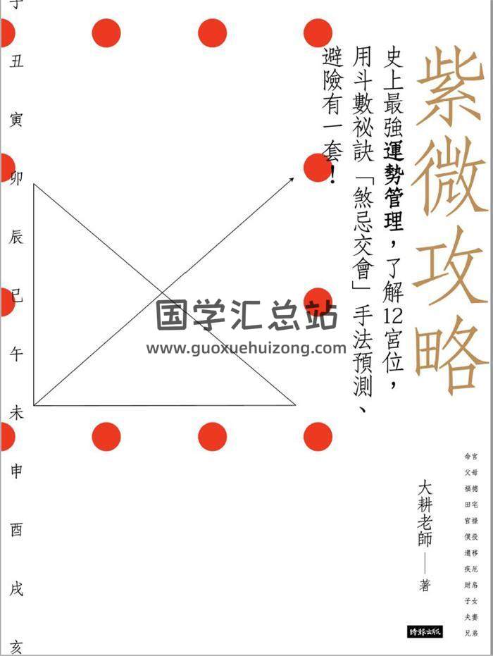 紫微斗数书籍 大耕老师《紫微攻略1》316页PDF电子书-封面易学
