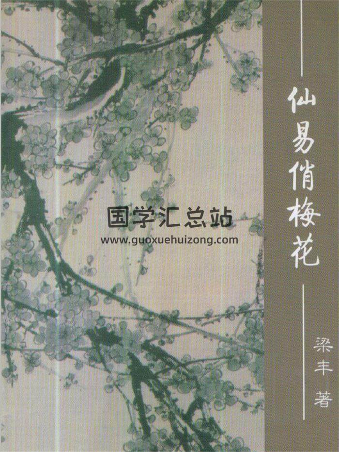 梁丰《仙易俏梅花》163页(双页版)PDF电子书 百度网盘分享-封面易学