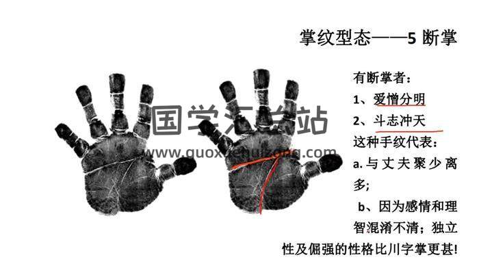 周心羽《手相论断》5集手相学视频 百度网盘分享-封面易学