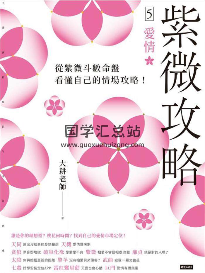 大耕老师《紫微攻略5爱情》370页PDF电子书 百度网盘分享-封面易学