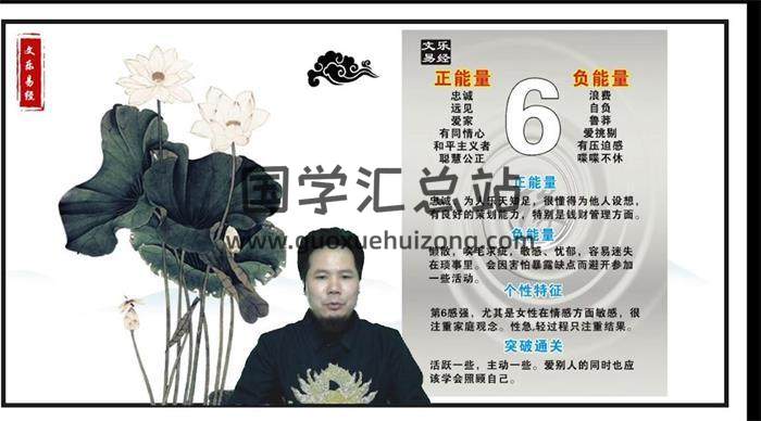 王文乐《梅花易数》10集梅花易数视频-封面梅花易数