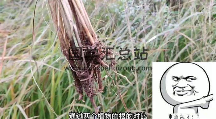 兰老师《形气风水系列课程》7集风水视频-封面风水