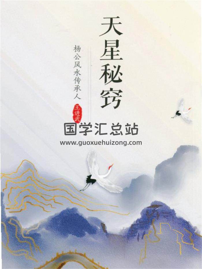 王进武-中观国学《天星秘窃》180页PDF电子书-封面易学