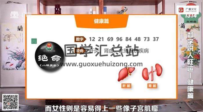 沈立明《八極靈數》11集術數學視頻-封面術數學