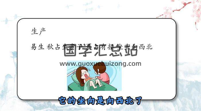 冯武杰《梅花易数》30集梅花易数视频-封面梅花易数